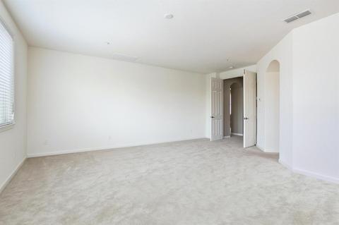 16057 Sheltered Cv, Lathrop, CA 95330 photo 23
