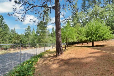 2233 Bald Mountain Rd, West Point, CA 95255 photo 37