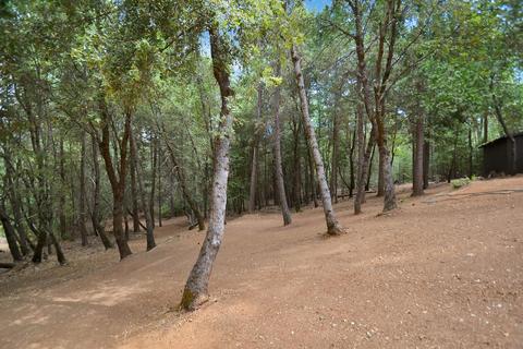 2233 Bald Mountain Rd, West Point, CA 95255 photo 29