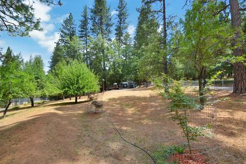 2233 Bald Mountain Rd, West Point, CA 95255 photo 35