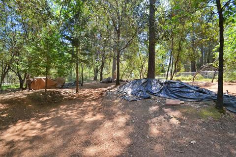 2233 Bald Mountain Rd, West Point, CA 95255 photo 40