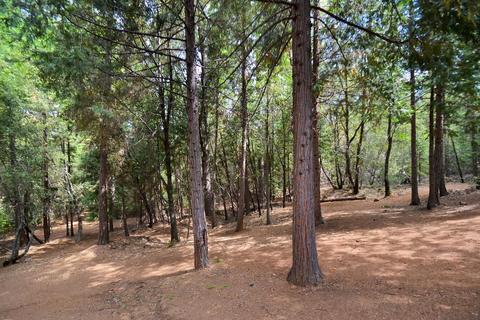 2233 Bald Mountain Rd, West Point, CA 95255 photo 31