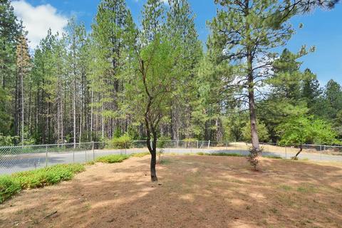 2233 Bald Mountain Rd, West Point, CA 95255 photo 24