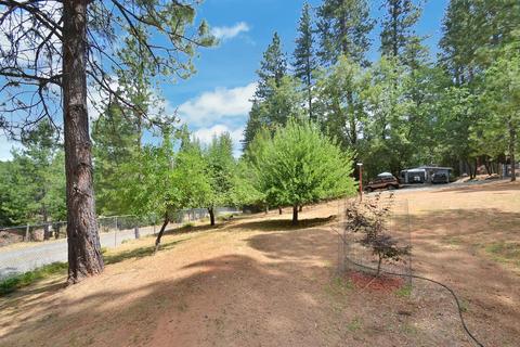 2233 Bald Mountain Rd, West Point, CA 95255 photo 36