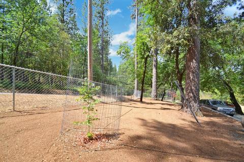 2233 Bald Mountain Rd, West Point, CA 95255 photo 32