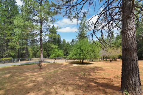 2233 Bald Mountain Rd, West Point, CA 95255 photo 22
