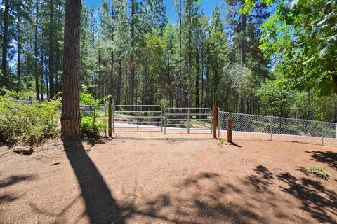 2233 Bald Mountain Rd, West Point, CA 95255 photo 44