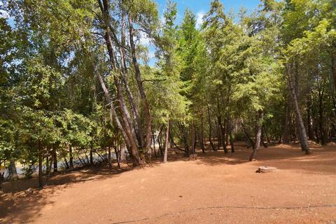 2233 Bald Mountain Rd, West Point, CA 95255 photo 28