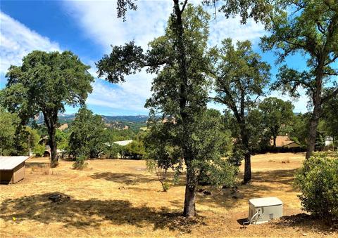 401 Oak Pl, San Andreas, CA 95249 photo 90