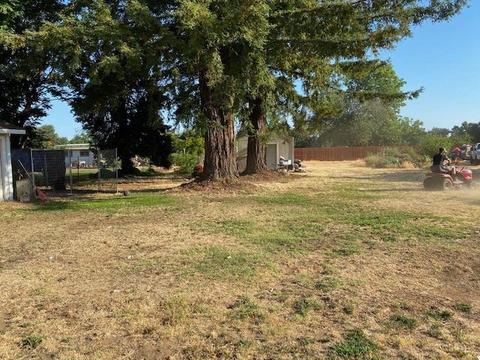 487 Sheldon Ave, Gridley, CA 95948 photo 14