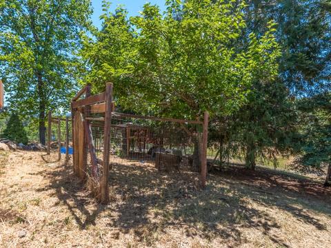3617 Pleasant Valley Rd, Placerville, CA 95667 photo 19