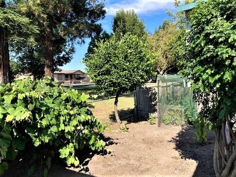 13 Whispering Way, Lodi, CA 95242 photo 37