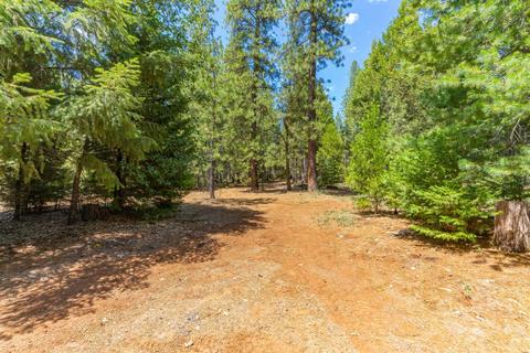 24894 Shake Ridge Rd, Volcano, CA 95689 photo 42