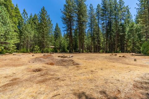 24894 Shake Ridge Rd, Volcano, CA 95689 photo 33