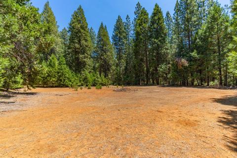 24894 Shake Ridge Rd, Volcano, CA 95689 photo 37