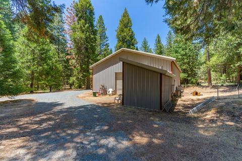 24894 Shake Ridge Rd, Volcano, CA 95689 photo 29