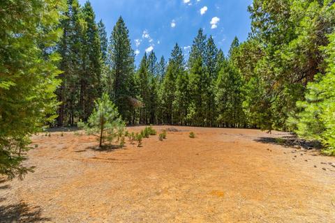 24894 Shake Ridge Rd, Volcano, CA 95689 photo 36