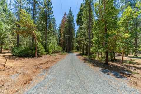 24894 Shake Ridge Rd, Volcano, CA 95689 photo 32