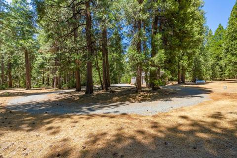 24894 Shake Ridge Rd, Volcano, CA 95689 photo 45