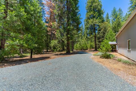 24894 Shake Ridge Rd, Volcano, CA 95689 photo 41