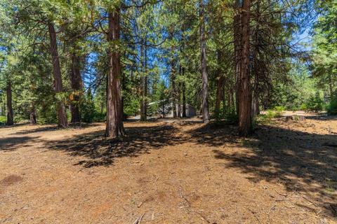 24894 Shake Ridge Rd, Volcano, CA 95689 photo 38