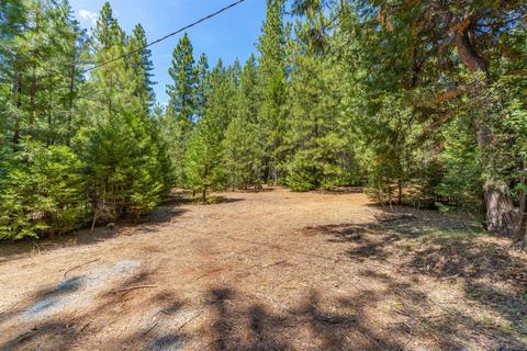 24894 Shake Ridge Rd, Volcano, CA 95689 photo 44