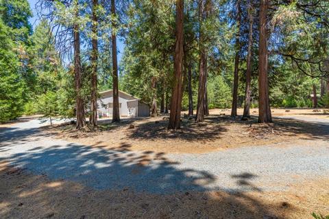 24894 Shake Ridge Rd, Volcano, CA 95689 photo 30