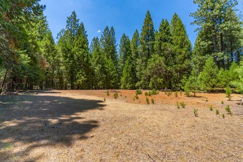 24894 Shake Ridge Rd, Volcano, CA 95689 photo 35