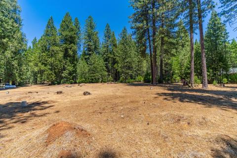24894 Shake Ridge Rd, Volcano, CA 95689 photo 40