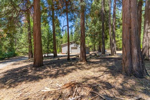 24894 Shake Ridge Rd, Volcano, CA 95689 photo 34