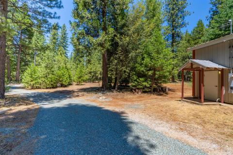 24894 Shake Ridge Rd, Volcano, CA 95689 photo 43