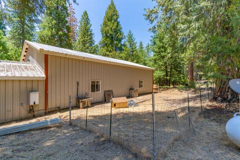 24894 Shake Ridge Rd, Volcano, CA 95689 photo 24