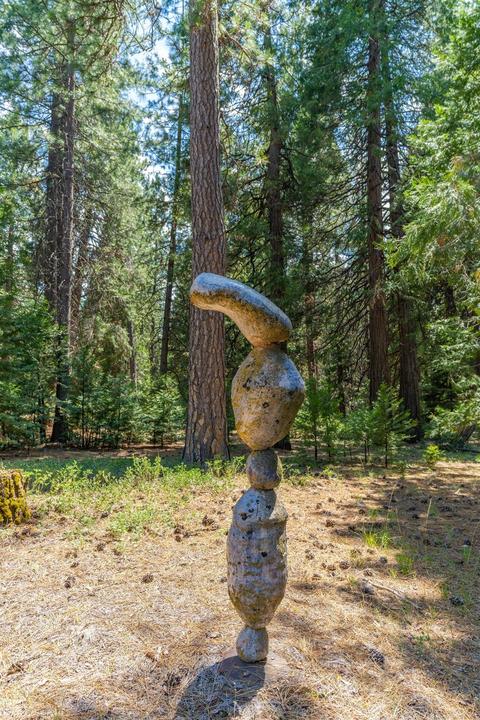 24894 Shake Ridge Rd, Volcano, CA 95689 photo 52