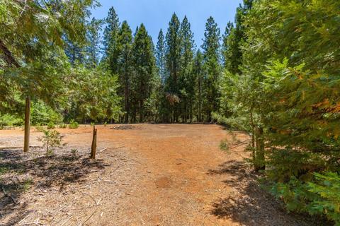 24894 Shake Ridge Rd, Volcano, CA 95689 photo 39
