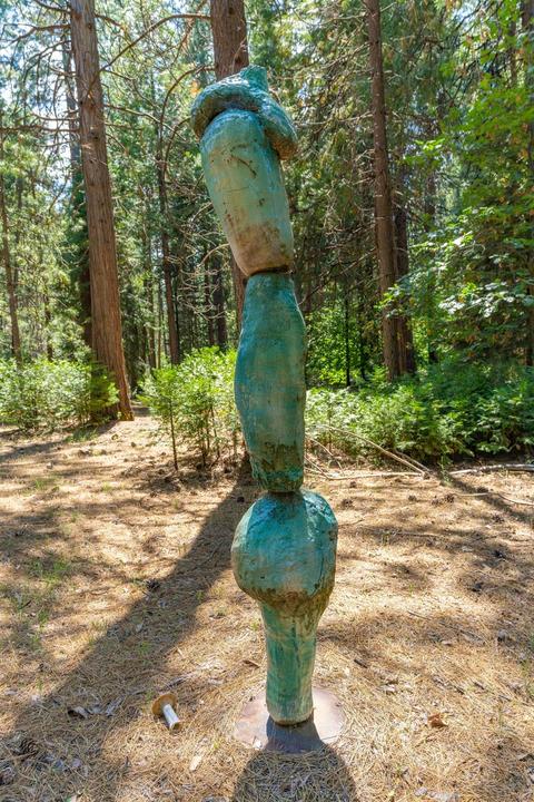 24894 Shake Ridge Rd, Volcano, CA 95689 photo 53