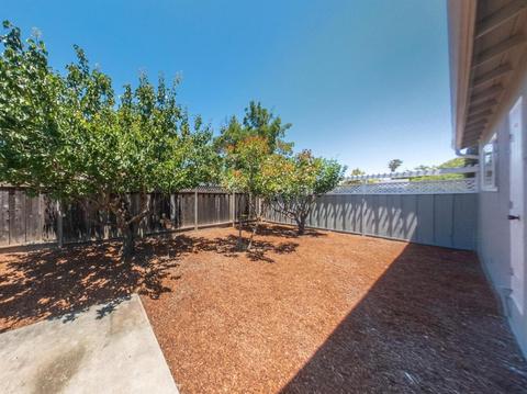 1401 Willowtree Ct, San Jose, CA 95118 photo 29