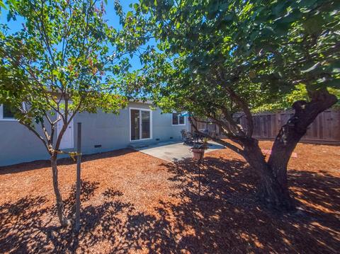 1401 Willowtree Ct, San Jose, CA 95118 photo 35