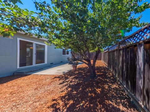 1401 Willowtree Ct, San Jose, CA 95118 photo 49