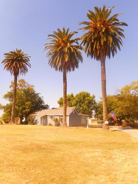 2491 County Rd S, Willows, CA 95988 photo 4
