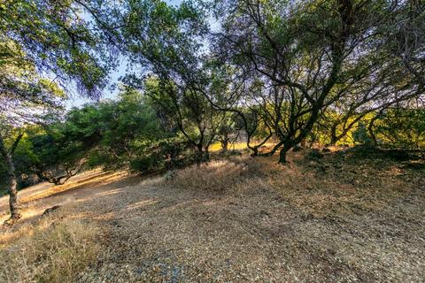 3623 Way Back Rd, Cool, CA 95614 photo 81