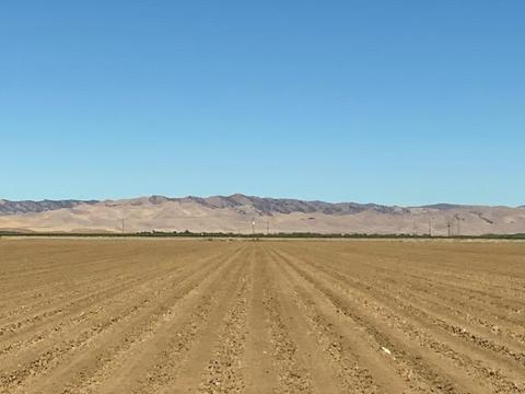 1024 Jensen Rd, Newman, CA 95360 photo 1