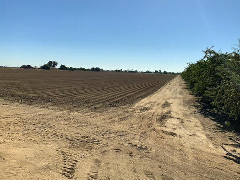 1024 Jensen Rd, Newman, CA 95360 photo 7