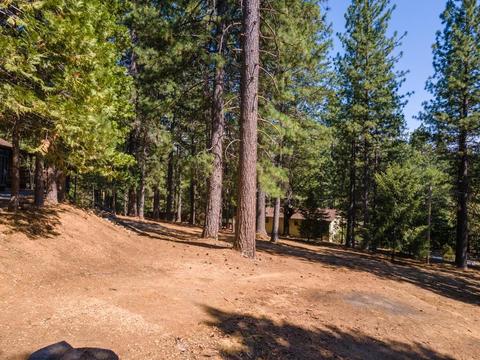 6410 Log Cabin Ln, Placerville, CA 95667 photo 38