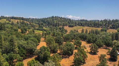 1412 Pierce Ct, Placerville, CA 95667 photo 43