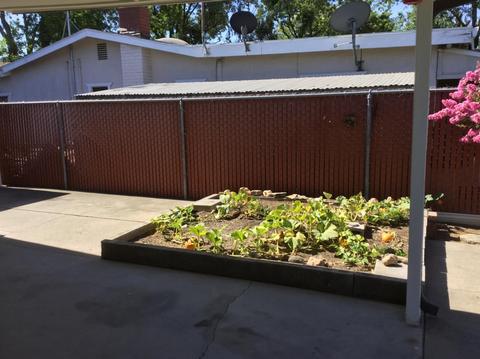 551 Curry Ave, Modesto, CA 95354 photo 23