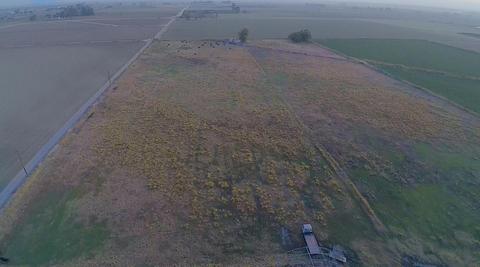 800 W Fulkerth Rd, Crows Landing, CA 95313 photo 79