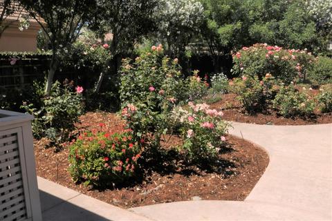 3731 Gaviota Pl, Davis, CA 95618 photo 15