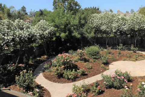 3731 Gaviota Pl, Davis, CA 95618 photo 4