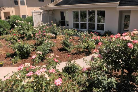 3731 Gaviota Pl, Davis, CA 95618 photo 13