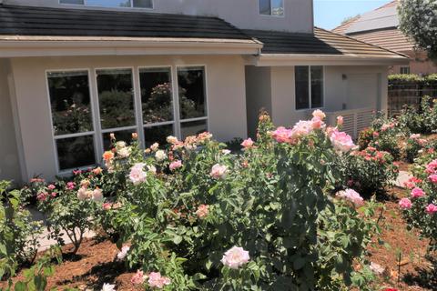 3731 Gaviota Pl, Davis, CA 95618 photo 12